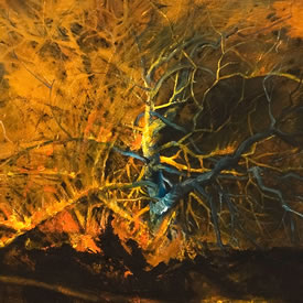 Burning Piñon II, 4 ft x 4 ft