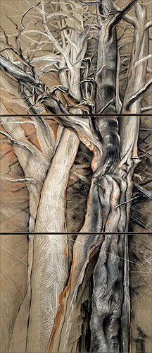 Junipers, Santa Cruz County, AZ. Linen, 4 ft x 9 ft